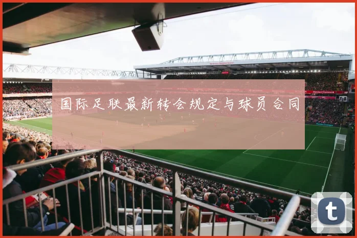 国际足联最新转会规定与球员合同